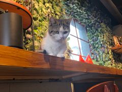 -IFIF 如果花園(宽厚里店)