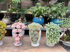 -星巴克(武汉协和医院店)