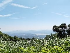 -广州市帽峰山景区