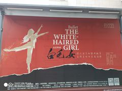 -北京大学百年讲堂