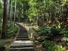 -黄埔油麻山森林公园