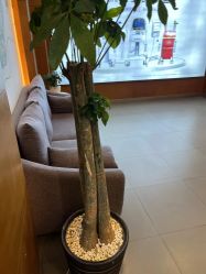 -苏亚医美·高端注射明星整形机构