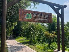 -江苏三台山国家森林公园