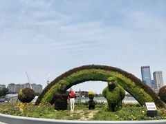 -映月湖中央公园