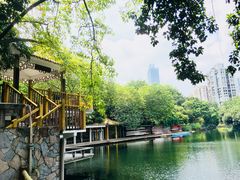 -晓港公园