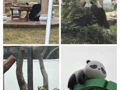 -无锡动物园·太湖欢乐园