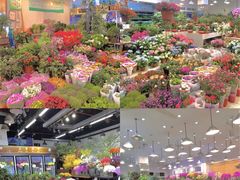 -双季花艺园艺市场(浦东店)