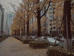 -百林公园-两江幸福广场