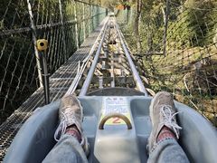 -梦幻奥陶纪景区