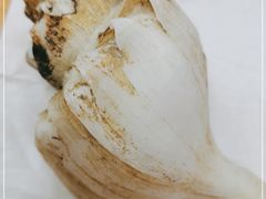 -开禾52阿伟海鲜加工