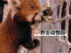 -北京野生动物园