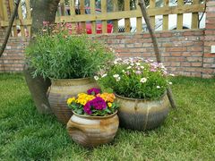 -森居forest休闲咖啡聚集地