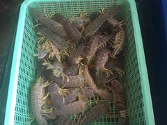 -灯笼馆海鲜餐厅
