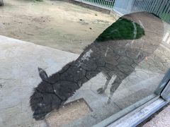 -水绘园