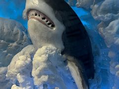 -海合安成都极地海洋公园