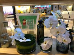 -谷莠子花艺气球派对·绿植造景·花艺沙龙(东海缤纷天地店)