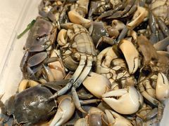 -渔民船说·北塘海鲜·天津菜·海肠捞饭(北塘古镇店)