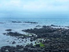 -龙头岩(Dragon Head Rock)