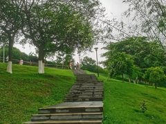 -东莞植物园