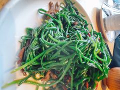 鲜牛肉炒沙葱-蒙料·手把肉(望京店)