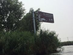 -白洋淀景区