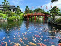 -芽庄珍珠岛游乐园