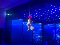 -南风大剧院莎梦二人转剧场