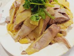 -振鼎鸡(福州路店)