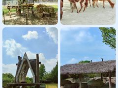 -上海野生动物园