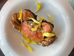 清蒸大闸蟹-蟹榭·本帮江浙菜·蟹宴(五角场合生汇商场店)