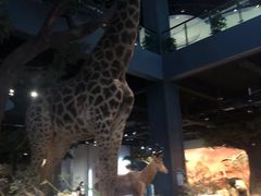 -扬州科技馆