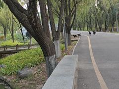 -西安浐灞国家湿地公园