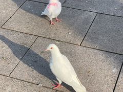 -人民广场