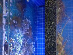 -尊立方海鲜酒店·生日宴·家宴