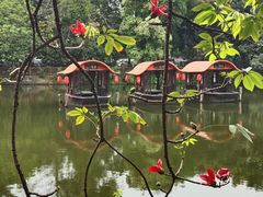 -侨美·唐荔园·40年地道粤菜