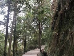-石台牯牛降景区