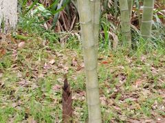 -明月山天沐温泉度假村