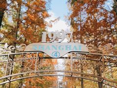 -东平国家森林公园