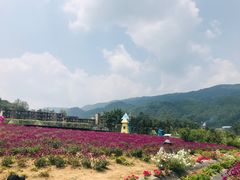 -齐岳山