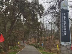 -青龙山国家森林公园
