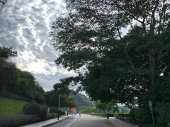 -水濂山森林公园