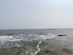 -渡海小渔村.老辈日照菜