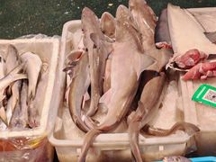 -海峡水产品交易中心(海鲜交易区)