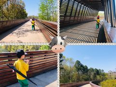 -昆山城市生态森林公园