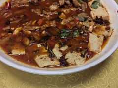 -煲来饱去冷水鱼