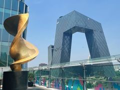 -中央广播电视总台(光华路办公区)