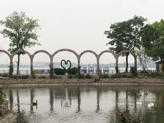 -鹅湖玫瑰文化园