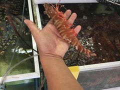 -拉威海鲜市场