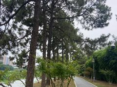 -月湖风景区
