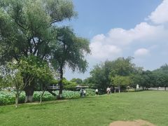 -玄武湖景区-情侣园游乐场